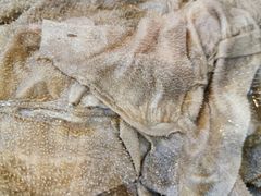 -铜元老码头鳝鱼火锅