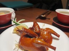 -觅唐MITONG(鸟巢店)