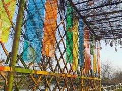 -天适樱花悠乐园