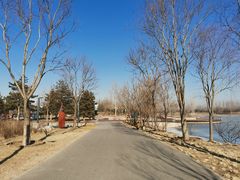 -东郊湿地公园