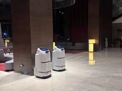 -深圳湾科技园丽雅查尔顿酒店
