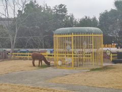 -宁波九龙湖开元度假村