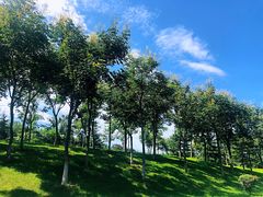-洨河生态公园