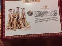 -正佳雨林生态植物园
