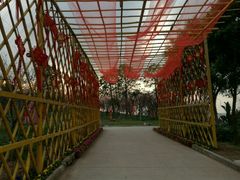 -天适樱花悠乐园