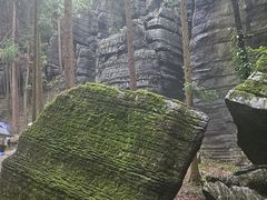 -梭布垭石林景区