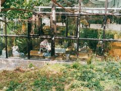 -北马山庄植趣咖啡