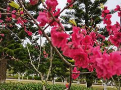 -福州长乐国际机场