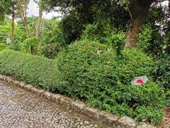-东望洋炮台东望洋灯塔