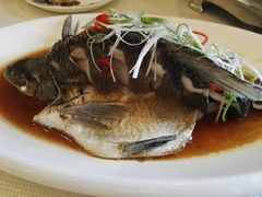 清蒸武昌鱼-九头鸟酒家(四道口店)