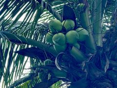 -海南清水湾莱佛士酒店