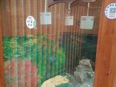 -上海大自然野生昆虫馆(东方明珠·爬宠昆虫探索中心)