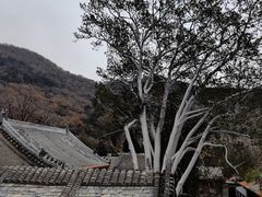 -潭柘寺景区