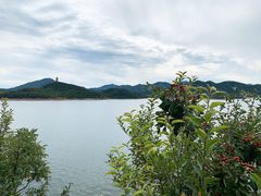 -望湖烤鱼