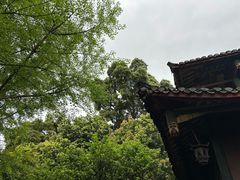 -峨眉山报国寺