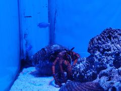 -横店影视城梦幻谷园区