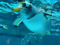 -正佳极地海洋世界