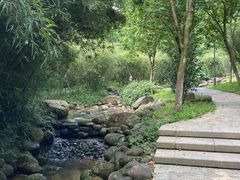 -火炉山森林公园