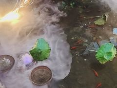 -和源祥·日照菜扛把子(万平口一店)