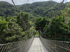 -海南热带雨林国家公园吊罗山景区