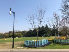 -青枫公园