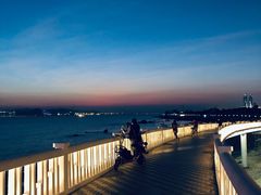 -演武大桥观景平台