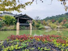 -黄陂区野村谷景区