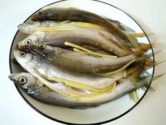 -艾溪湖湿地公园