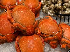 -安蒂娅·海鲜自助餐厅(安蒂娅美兰酒店)