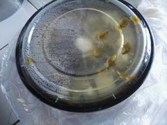 -周鱼小馆石锅酸菜鱼(活力汇店)