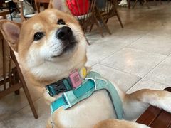 -VESH COFFEE(定西路店)