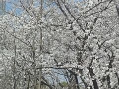 -上海大学(宝山校区)