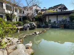 -巡塘古镇