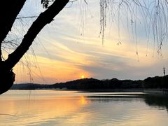 -天目湖山水园