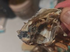 -上海龙吴水胜海发市场