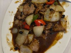 -食为先(Shark Fin)