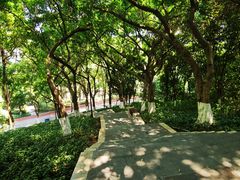 -龙头寺公园