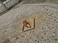 -哈尔滨北方森林动物园