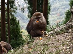 -太阳湾风景区
