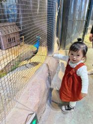 -酷嗒动物文化乐园(cutezoo西溪乐天城店)