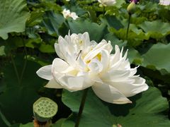 -南戴河国际娱乐中心