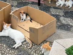 -檀园