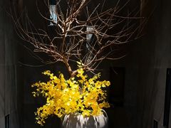 -淮香国色·淮扬菜(正大中心店)