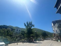 -紫藤园·天目湖大鱼头(南山竹海店)