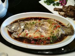蒸鱼-舜和枣庄大酒店