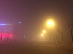 -南开大学滨海学院