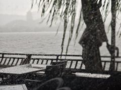 -柳莺湖上·湖景餐厅·江南菜(西湖店)