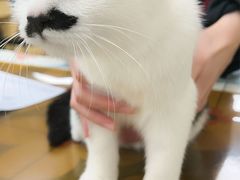 -美联众合动物医院·24h京西诊疗中心