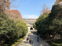 -灵谷景区