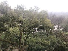 -杭州花家山庄